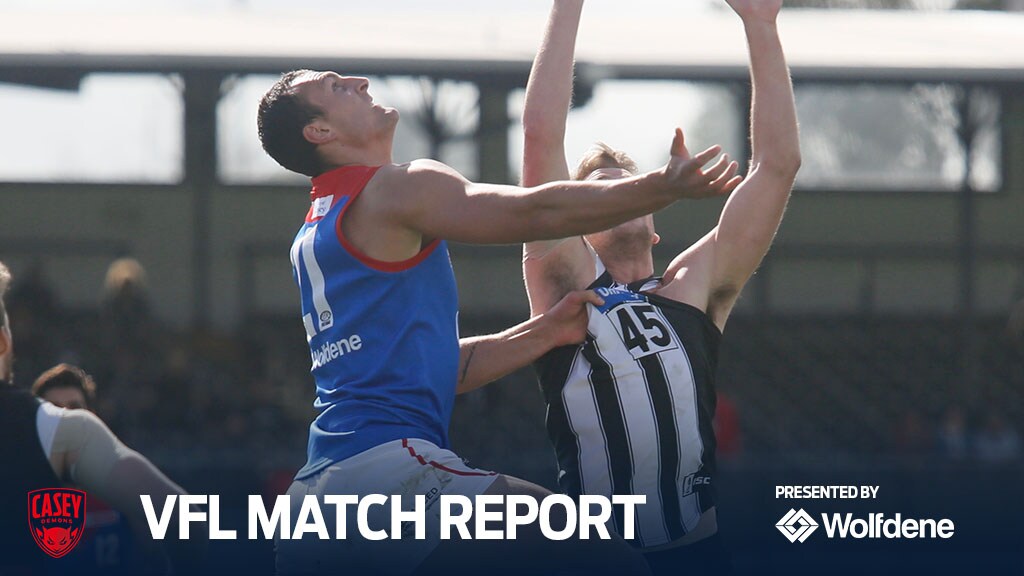 190811_VFL_MatchReport.jpg